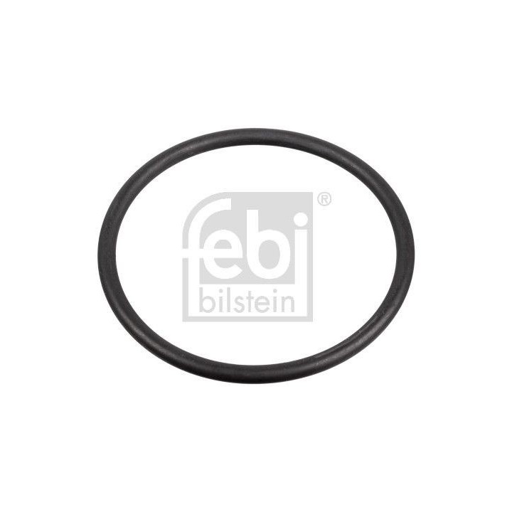 FEBI BILSTEIN Těsnění, palivové čerpadlo 172666
